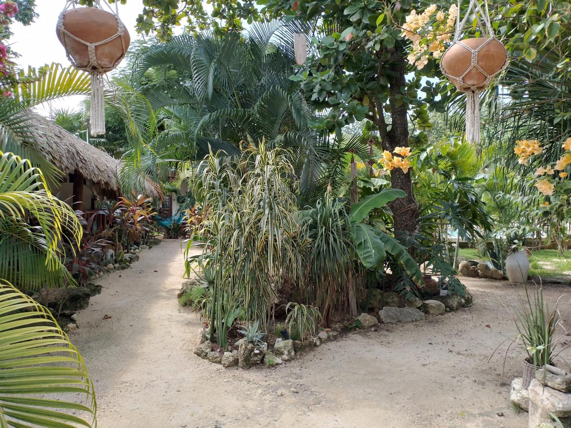Hotel Zamunda Garden View à Tulum Extérieur photo