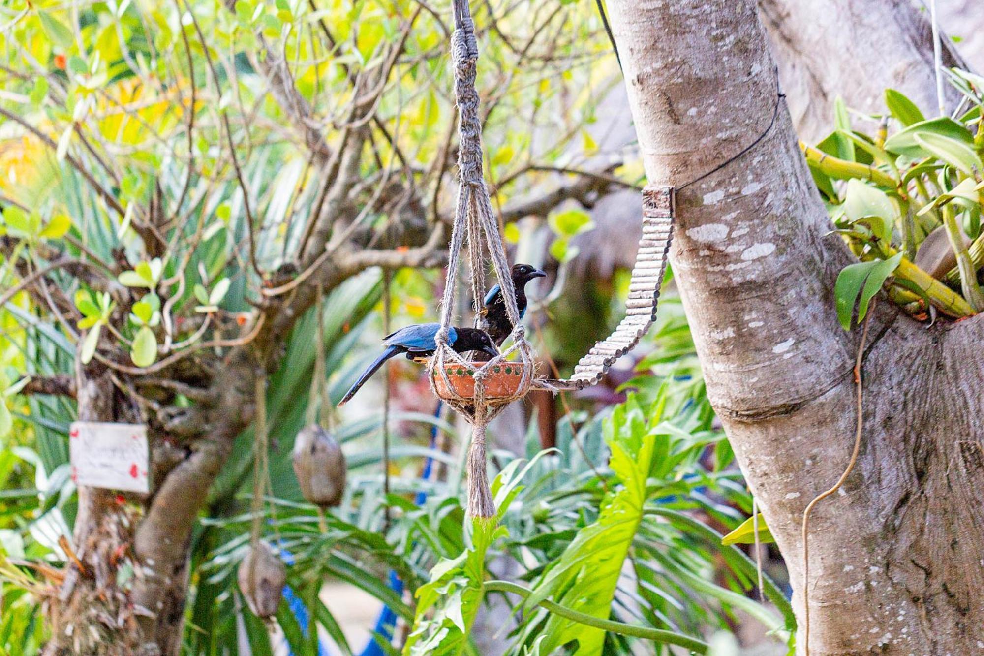 Hotel Zamunda Garden View à Tulum Extérieur photo